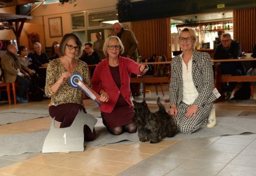 fullsizeoutputeklein