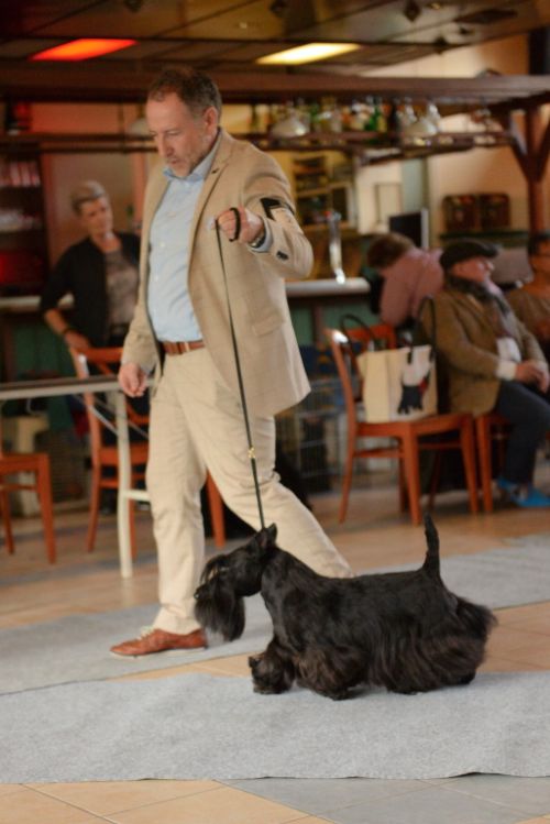 fullsizeoutputc7klein