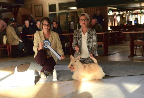 fullsizeoutputcaklein