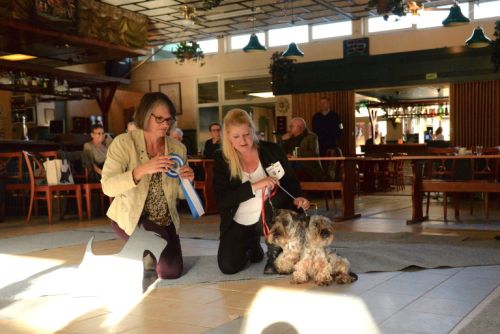 fullsizeoutputceklein