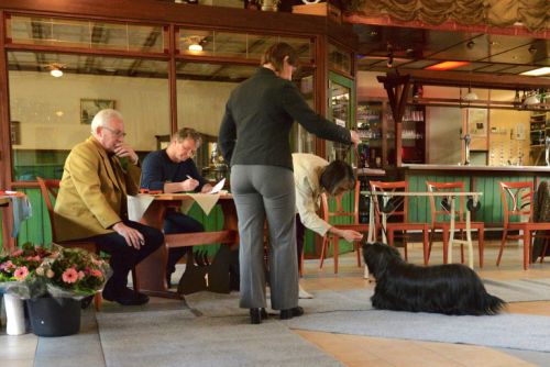 fullsizeoutputdklein