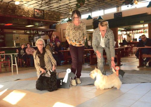 fullsizeoutputf8klein