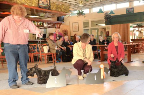 fullsizeoutputfdklein