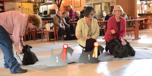 fullsizeoutputffklein