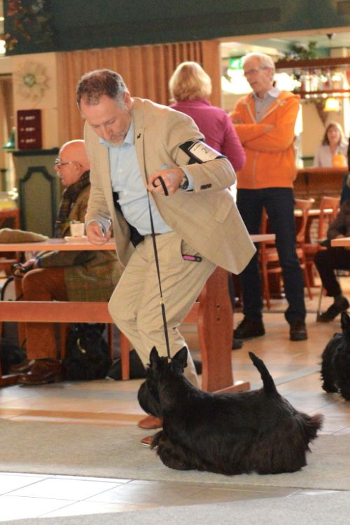 fullsizeoutputbbklein