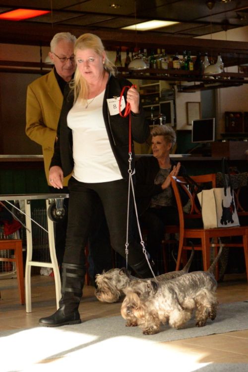 fullsizeoutputbaklein