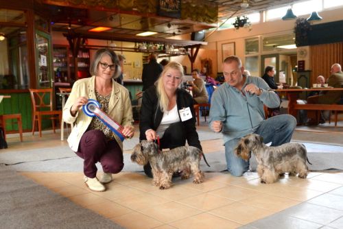 fullsizeoutput baklein