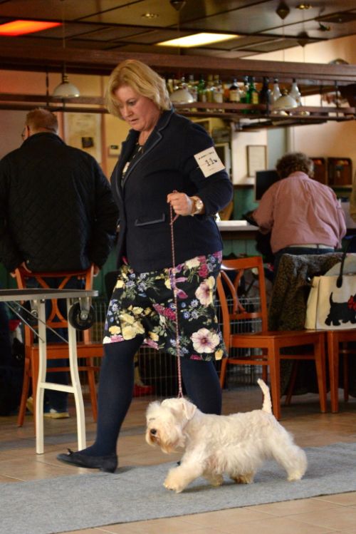 fullsizeoutput d9klein