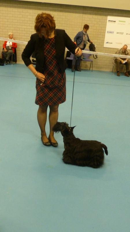25 go for gold grace vom schwarzen joker 2x1024