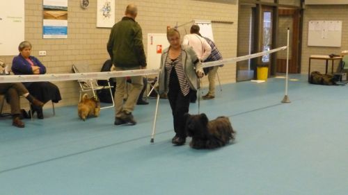 27 sure to please of morningskyx576