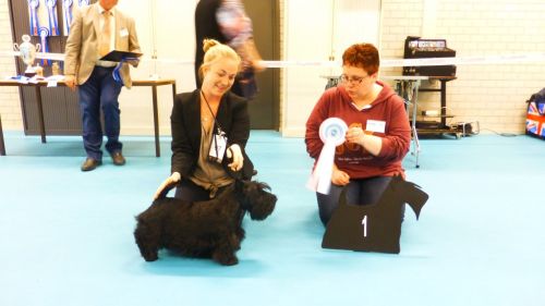 beste pup zealously boy vom xantnerhofx576