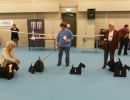 open klasse reuen 2x576