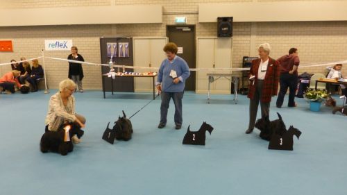 open klasse reuen 2x576