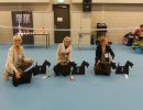 puppy klasse teven 2x576