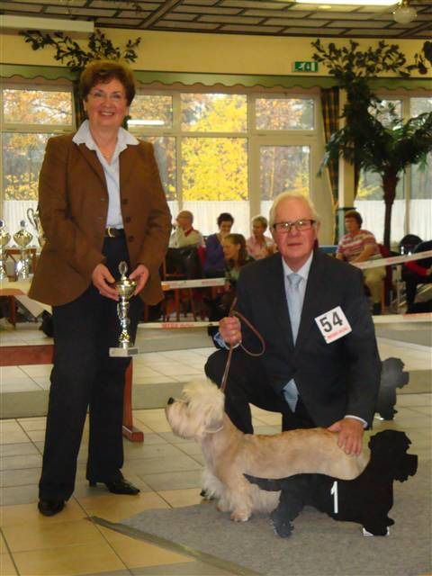 resized dandie bob met keurmeester