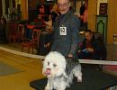 resized dandie fkt waltzing mathilda of coquet water
