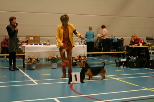 29 australische bobx681
