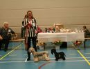 38 cesky beste van het rasx681