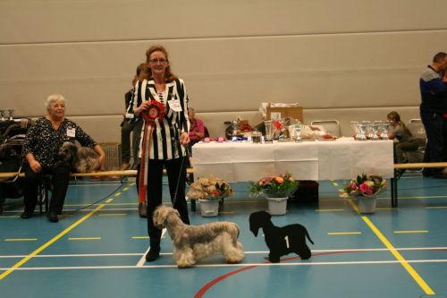 38 cesky beste van het rasx681