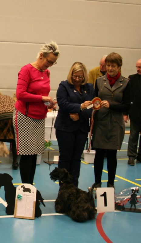 best in show   schotx1024