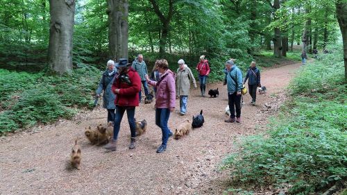 voorjaarswandeling mariendaal 17.05.2026  
