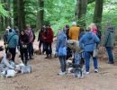 voorjaarswandeling mariendaal 17.05.2026  