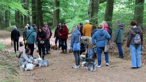 voorjaarswandeling mariendaal 17.05.2026  