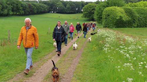 voorjaarswandeling mariendaal 17.05.2026  