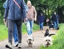 voorjaarswandeling mariendaal 17.05.2026  56 