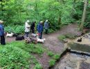 voorjaarswandeling mariendaal 17.05.2026  