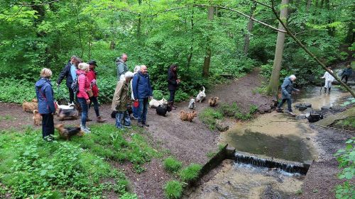 voorjaarswandeling mariendaal 17.05.2026  