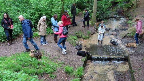 voorjaarswandeling mariendaal 17.05.2026  