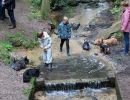 voorjaarswandeling mariendaal 17.05.2026  