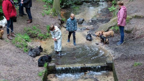 voorjaarswandeling mariendaal 17.05.2026  